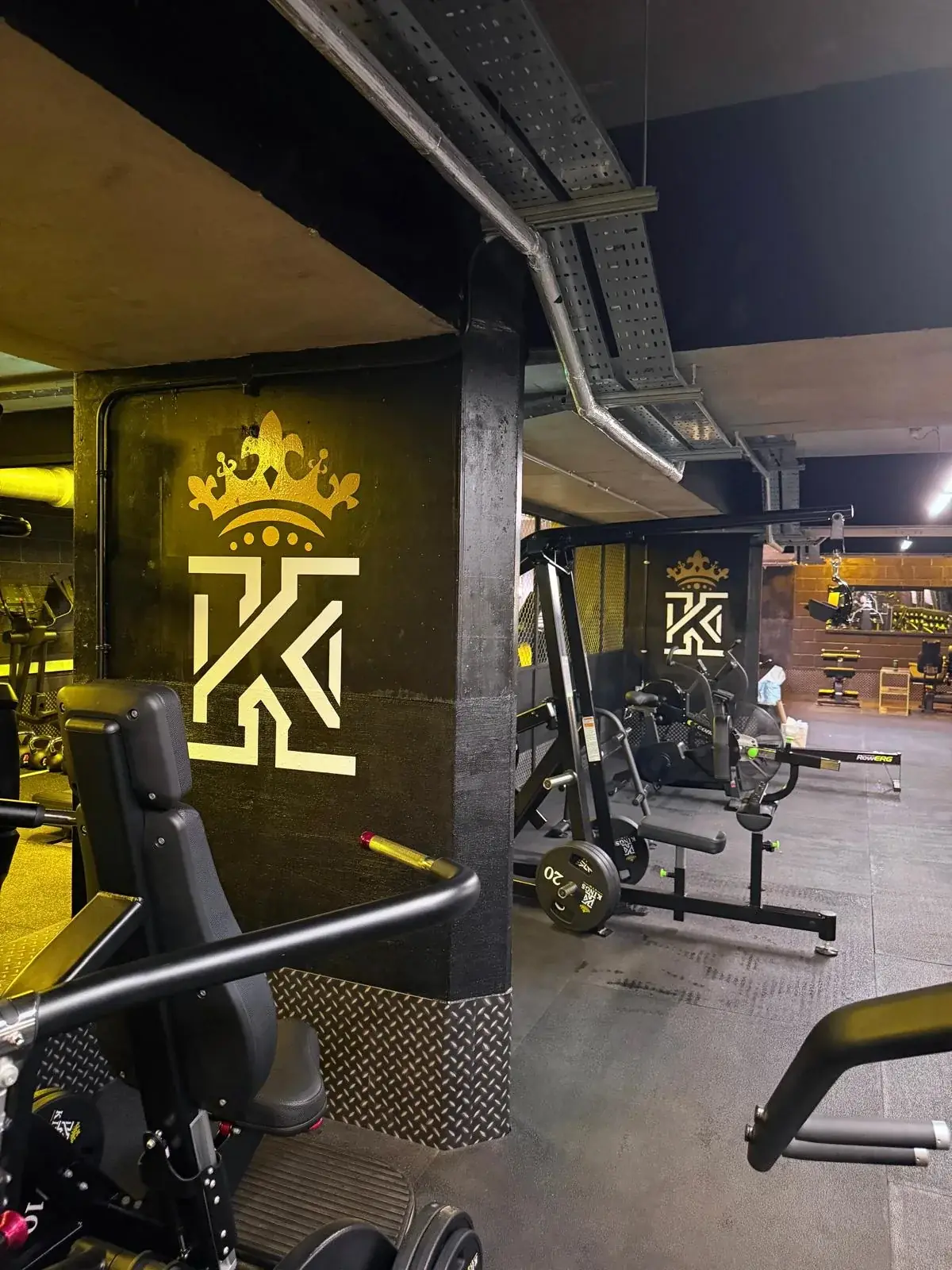 Repeated Kings Gym wall graphics positioned through the completed training area